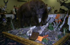 Mounted work by High Country Taxidermy